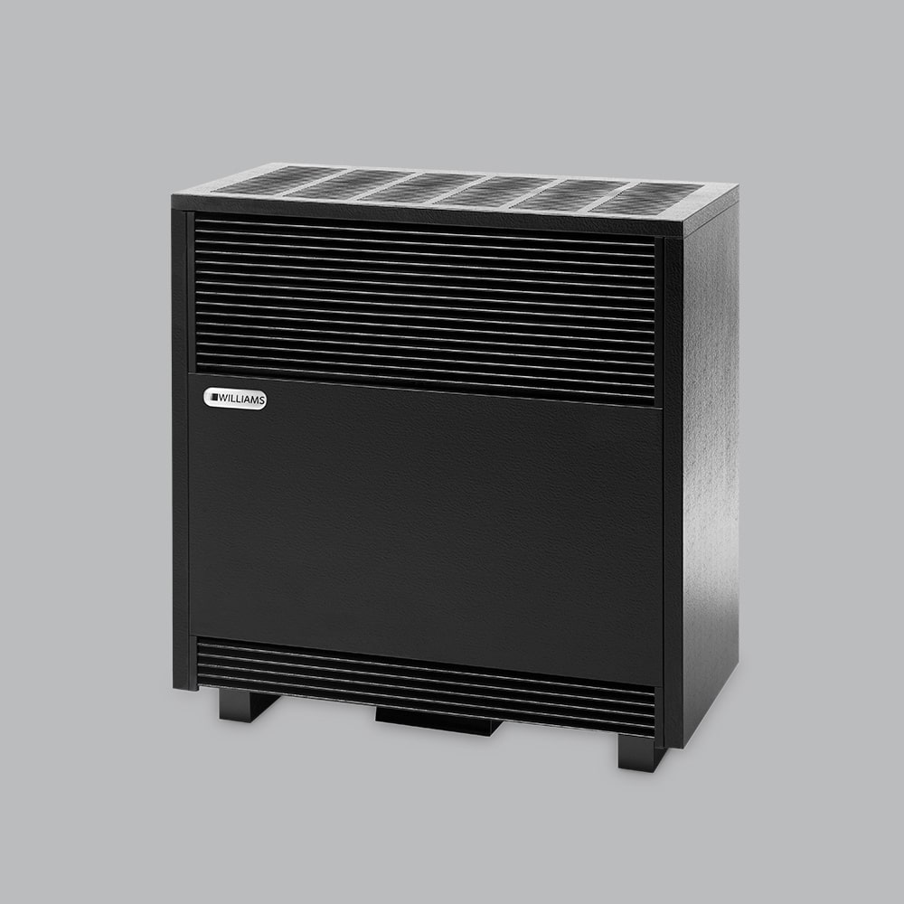 Williams 22K BTU Direct Vent Gas Wall Heaters on Sale - ACF Greenhouses  2203822 & 2203821