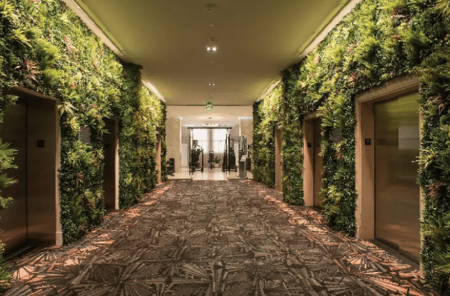 hallway in the atlantic with greenery on wall